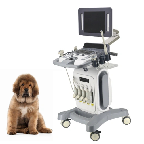 Carrinho ultrassônico veterinário para exame Doppler colorido 4D